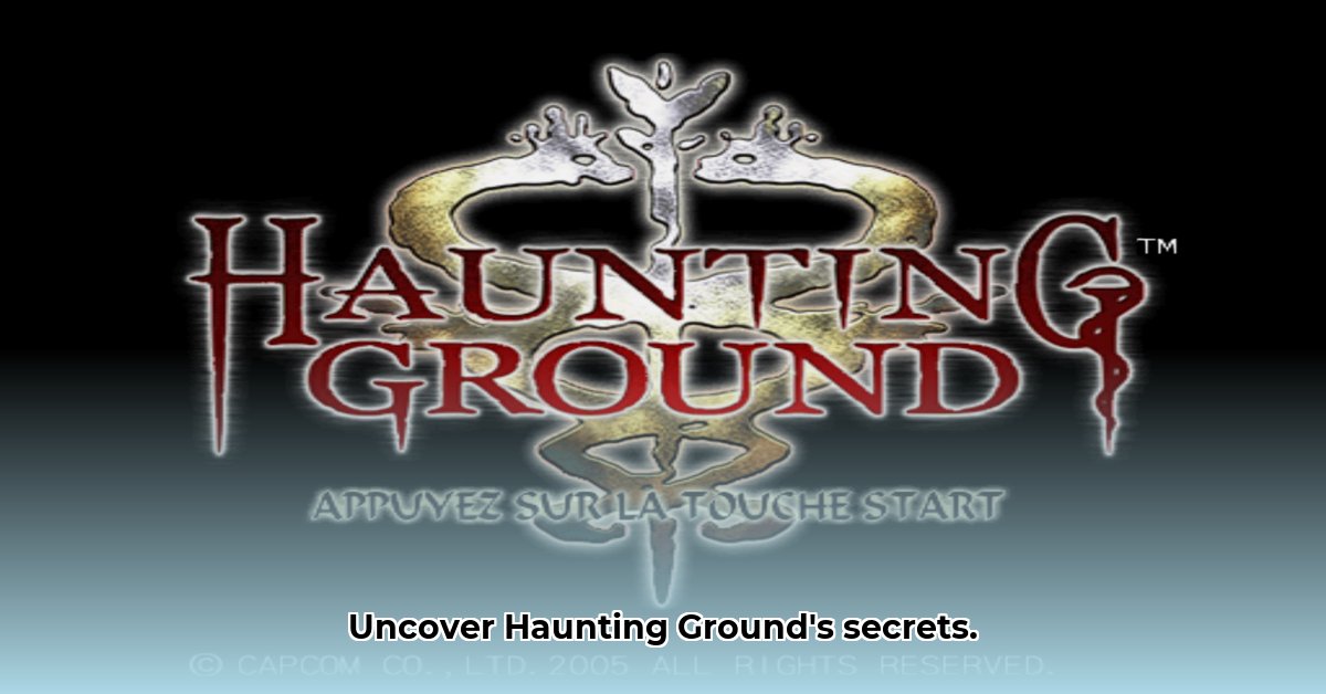 roms-ps2-haunting-ground